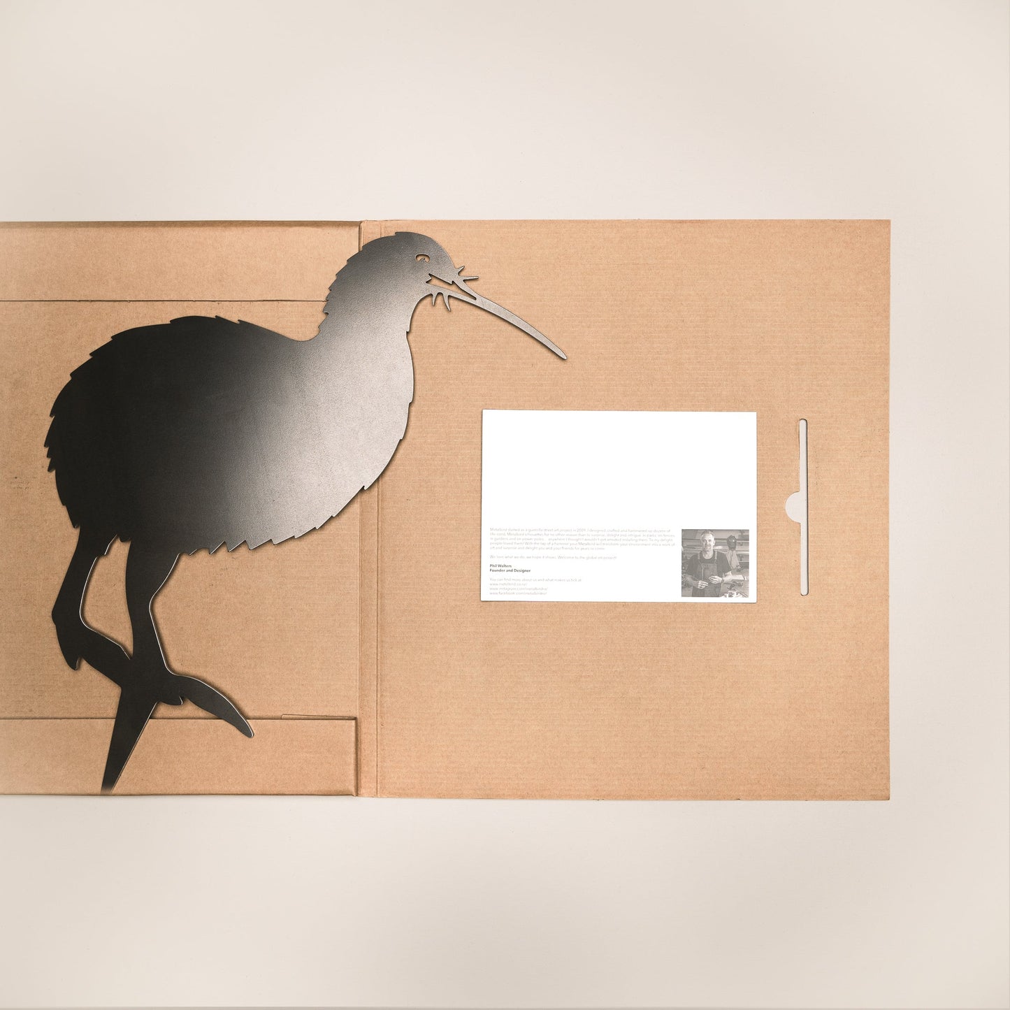 Brown Kiwi metalbird