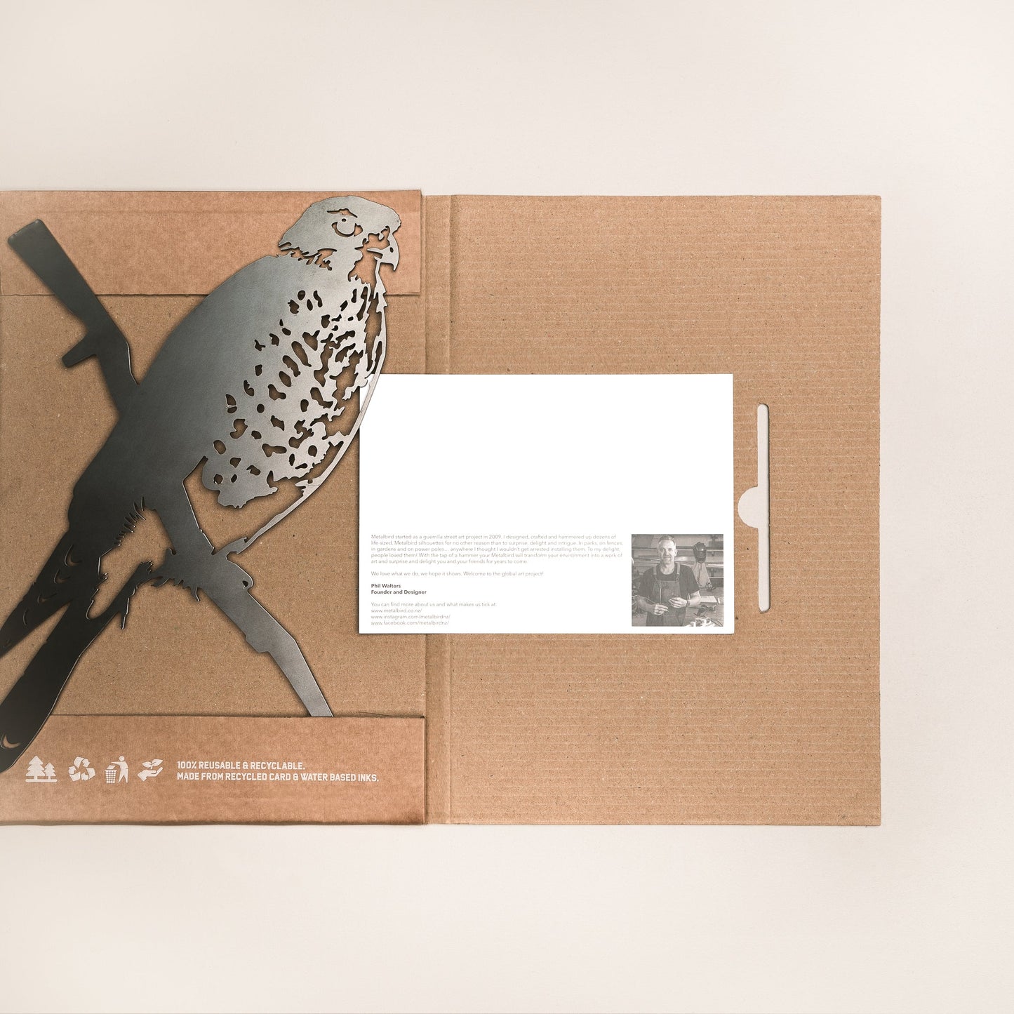 Karearea/New Zealand Falcon