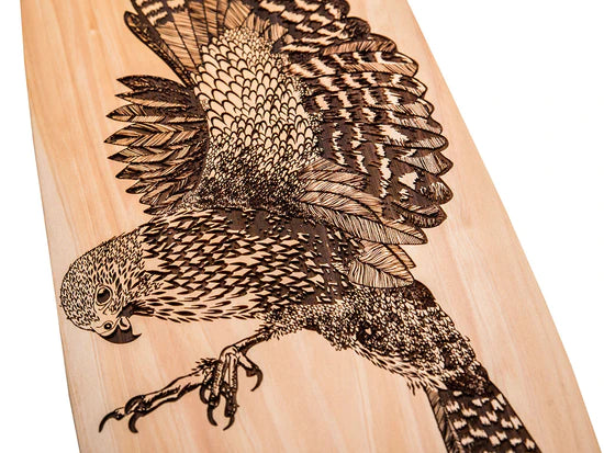 Falcon Art Skateboard