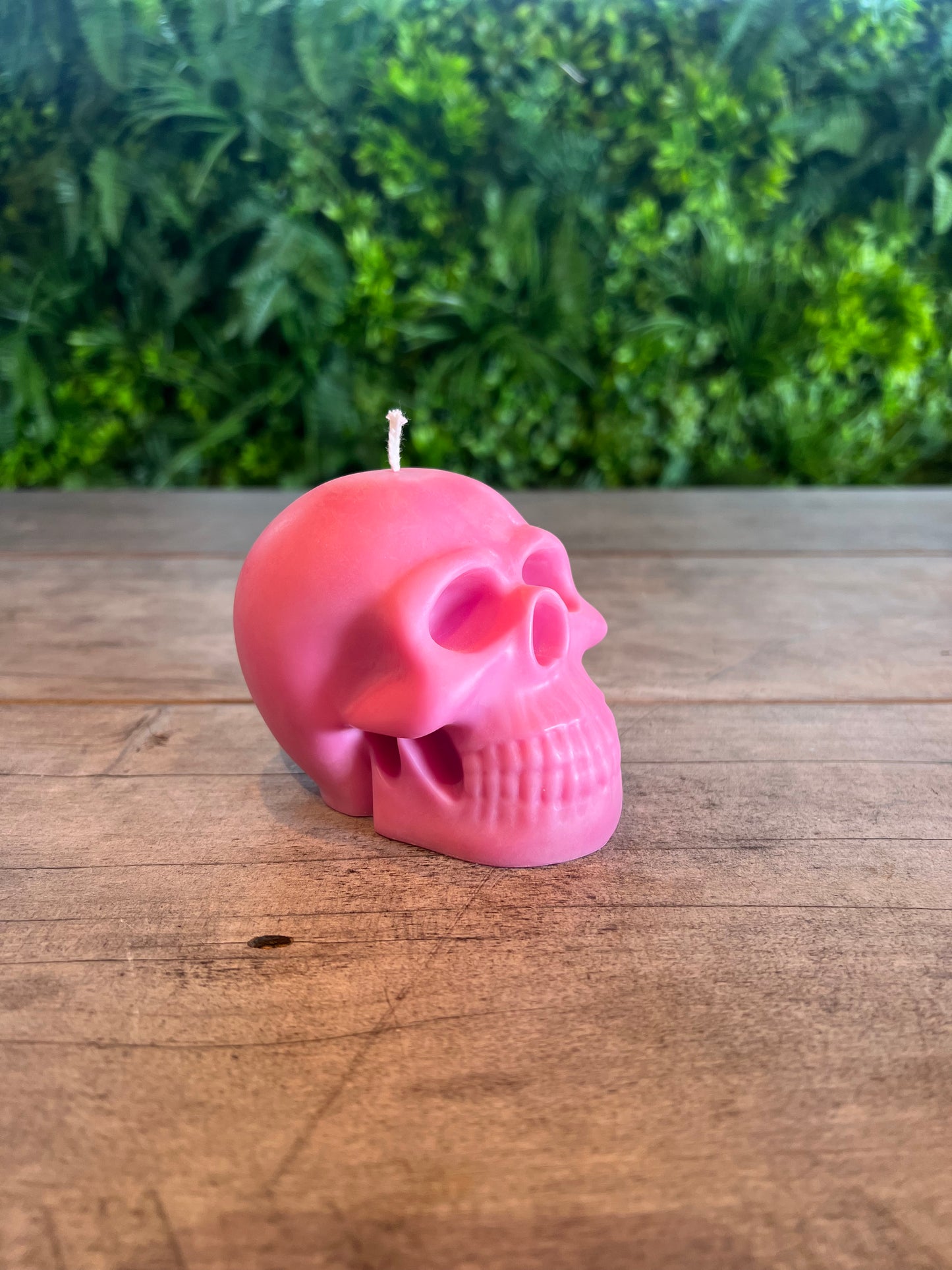 Skull Candle