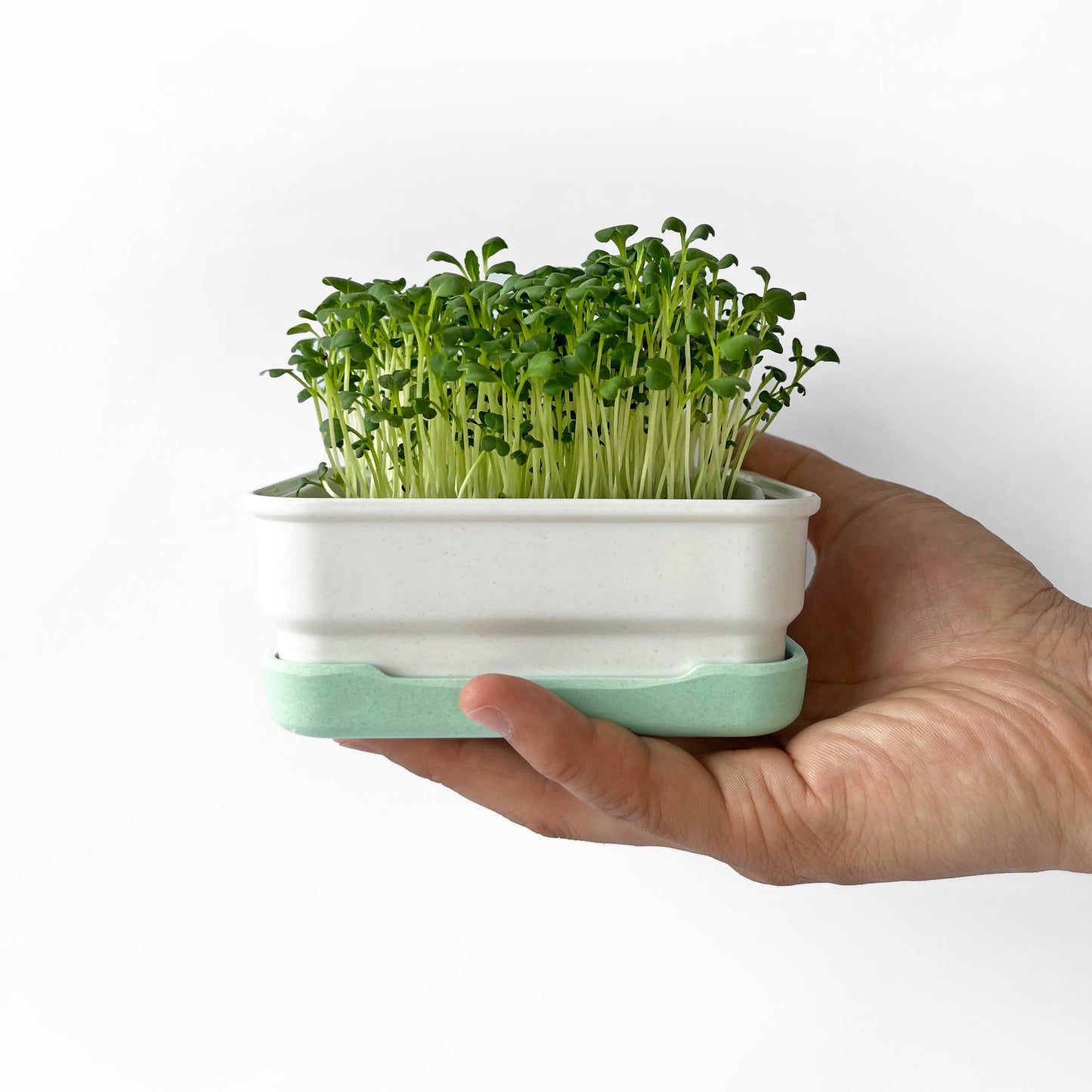 Microgreens Mini Starter Kit