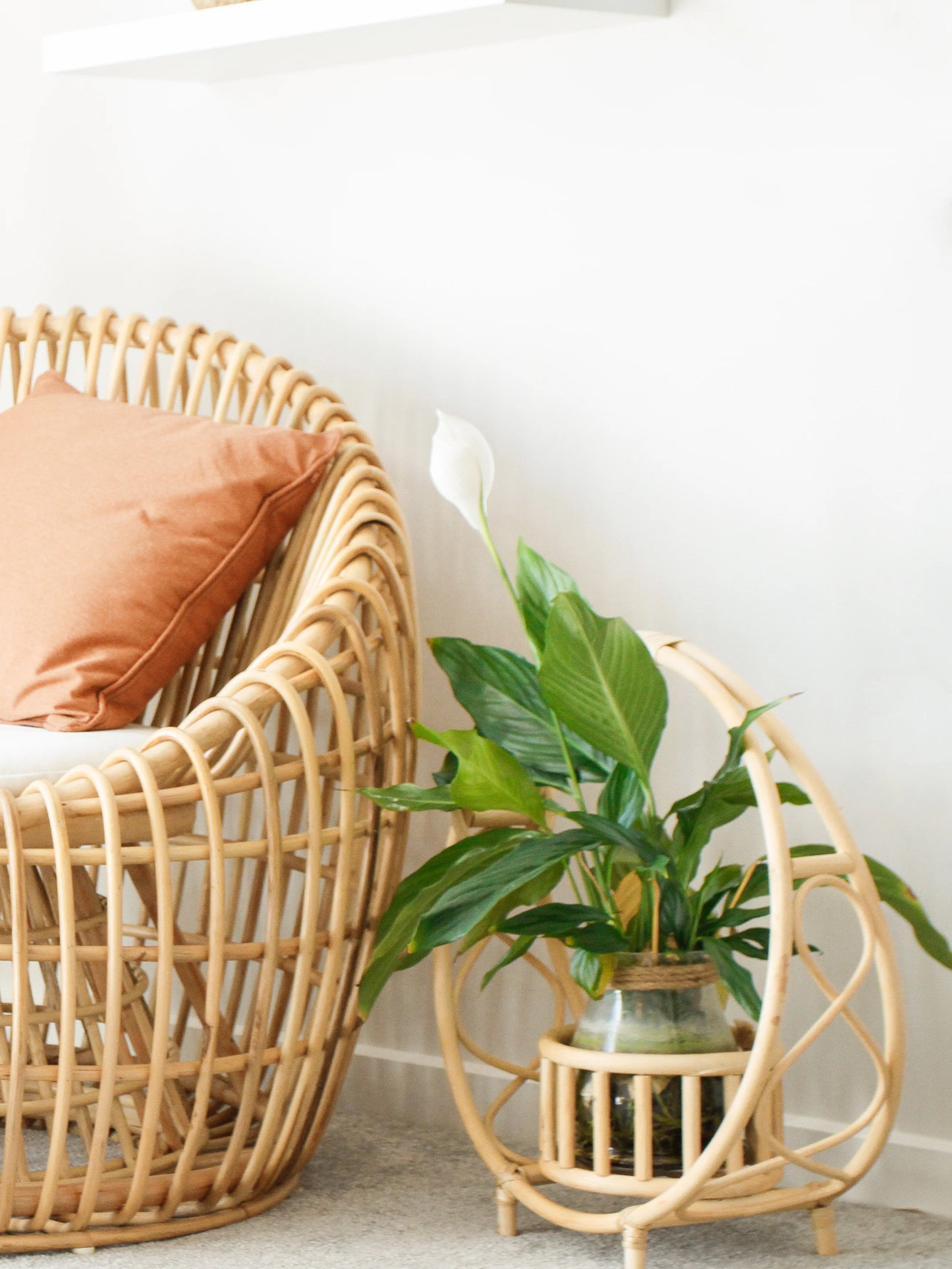 Rattan Plant Hanger