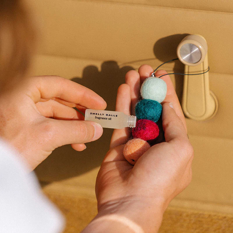 Smelly Balls Roady Set - The re-usable car air freshener