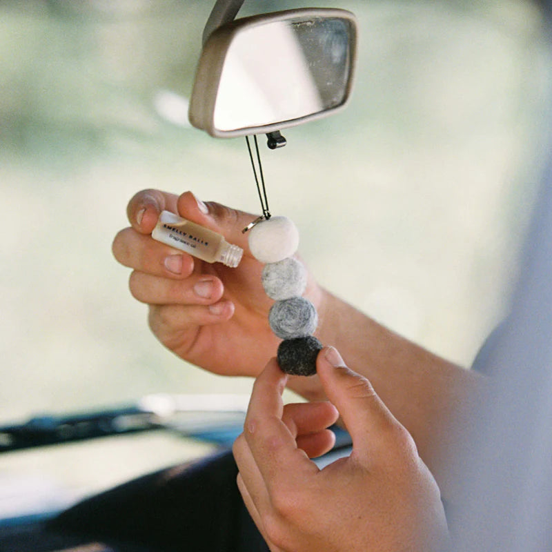 Smelly Balls Rugged Set - The re-usable car air freshener